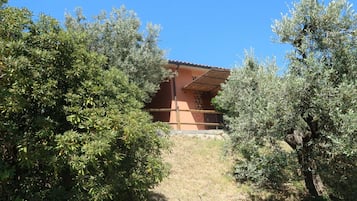 Ferienhaus | Außenbereich