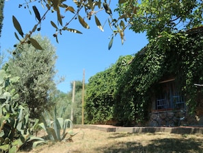 Maison | Jardin
