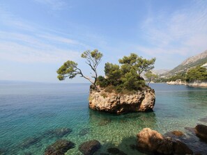 Exterior - Stunning Views Hill Side Villa With Infinity Pool & Indoor Floor Aquarium (Makarska)