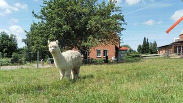 Apartment | Außenbereich