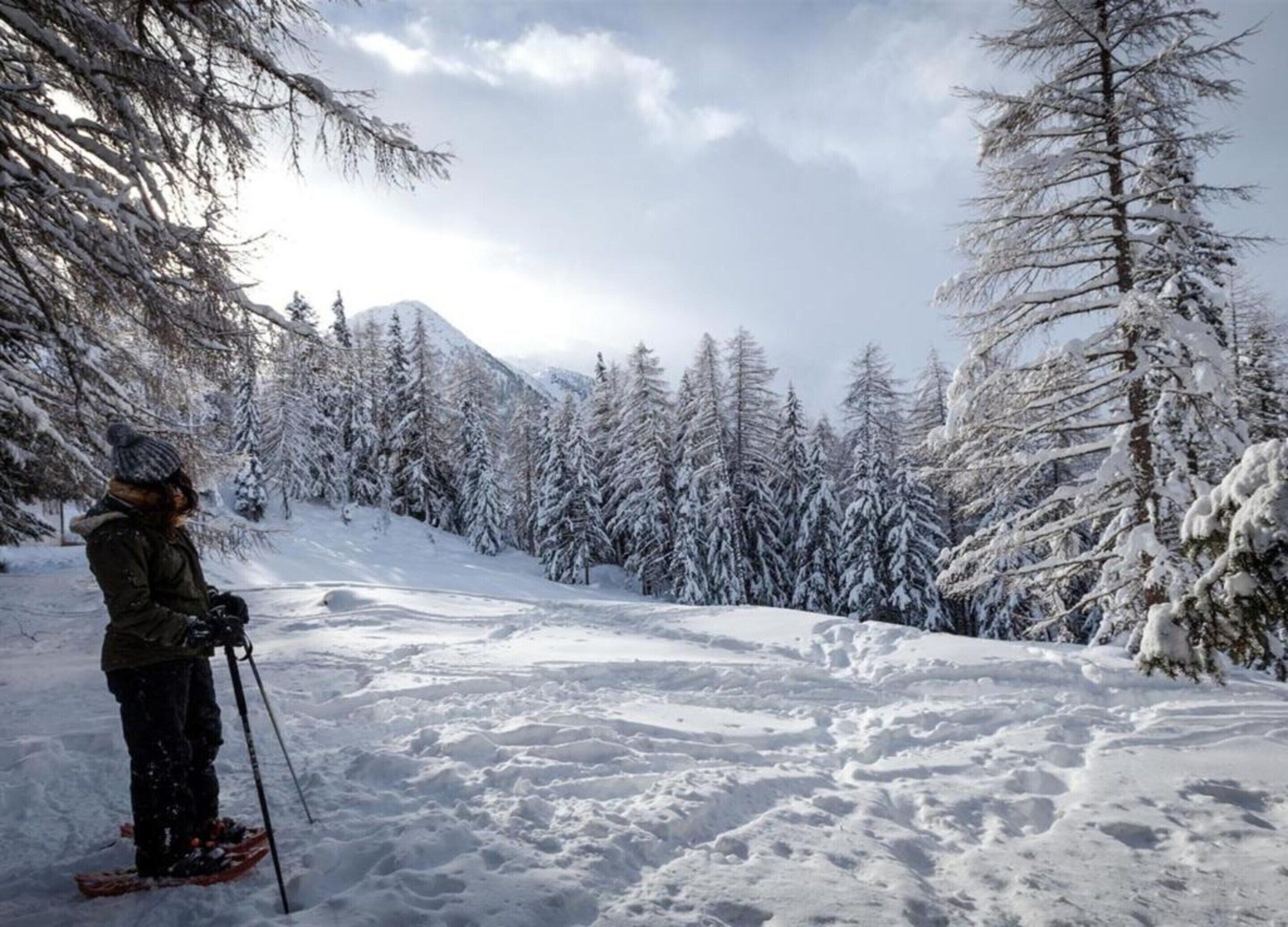 Een besneeuwd landschap met een skiënd persoon, omringd door met sneeuw bedekte bomen en een berg op de achtergrond.