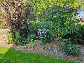 Un jardin avec différentes sortes de plantes et une clôture en métal.