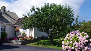 Unclassified image, 2 of 12, button - Delightful Holiday Home in Cornwall With Garden (Padstow)