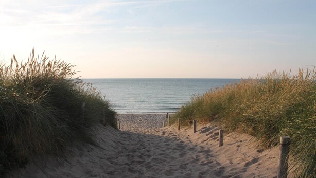 A sandy beach path leading to the sea, surrounded by grass. - Cozy Apartment in Zingst Germany near Beach (Zingst)