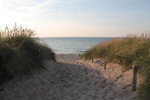 A sandy beach path leading to the sea, surrounded by grass.