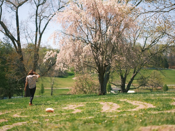Vue depuis l’hébergement