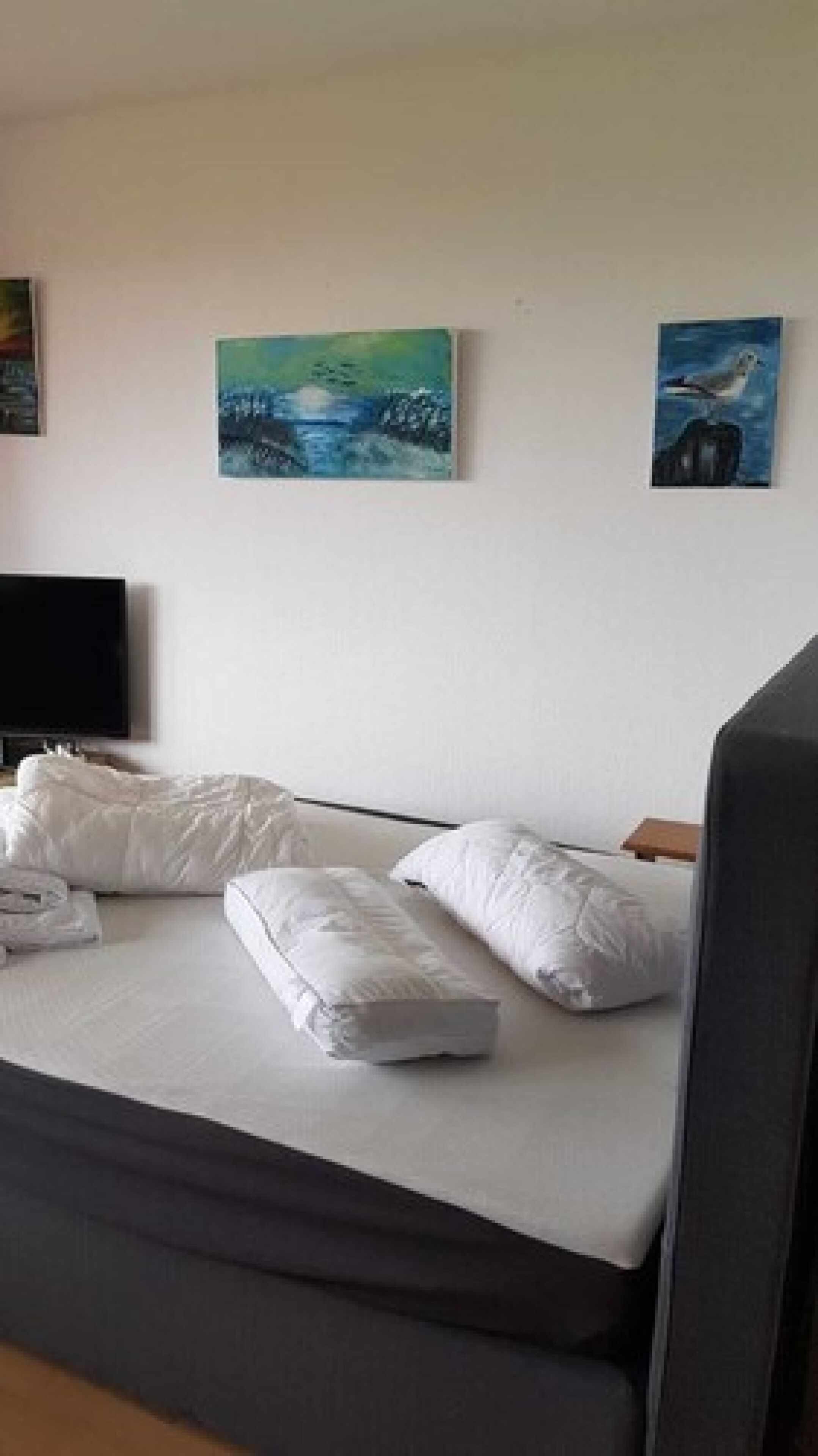 A hotel room with a bed, pillows, a flat-screen TV, and two paintings on the wall.