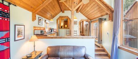 TV, fireplace, books