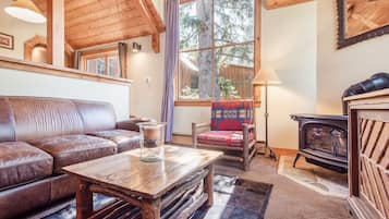 TV, fireplace, books