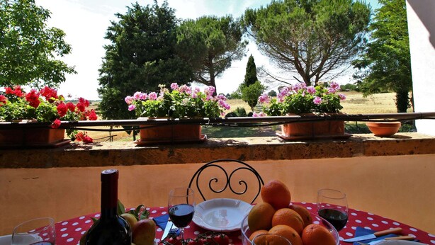 A balcony with a table set for a meal, potted plants, and a view of trees and fields.