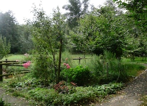House | View from property - Holiday Home in the Luneburg Heath (Wietzendorf)