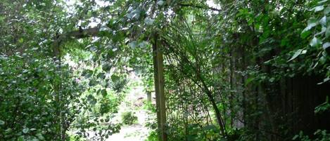 House | Pemandangan dari hartanah