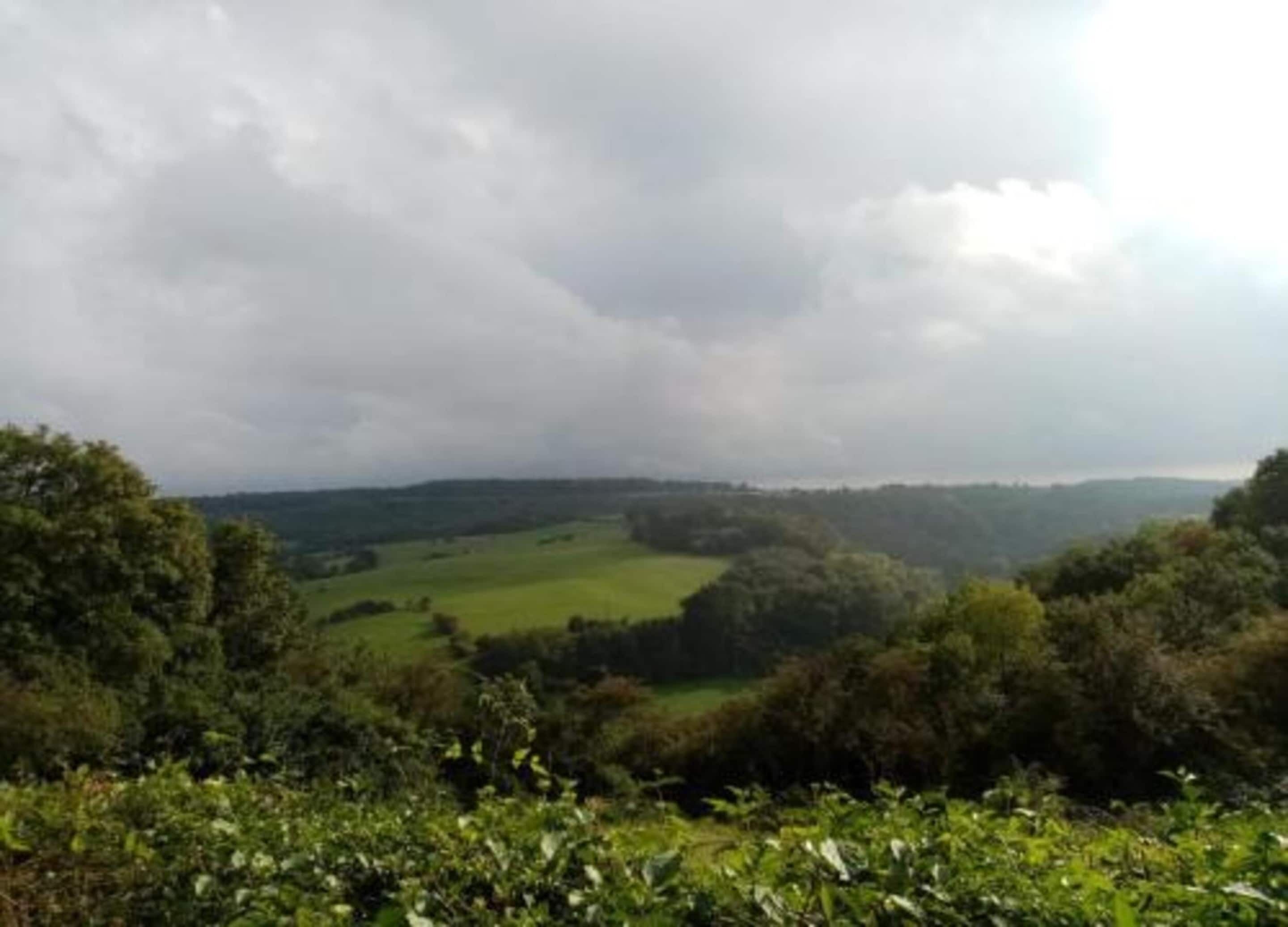 Eine Landschaft mit sanften Hügeln und bewölktem Himmel.
