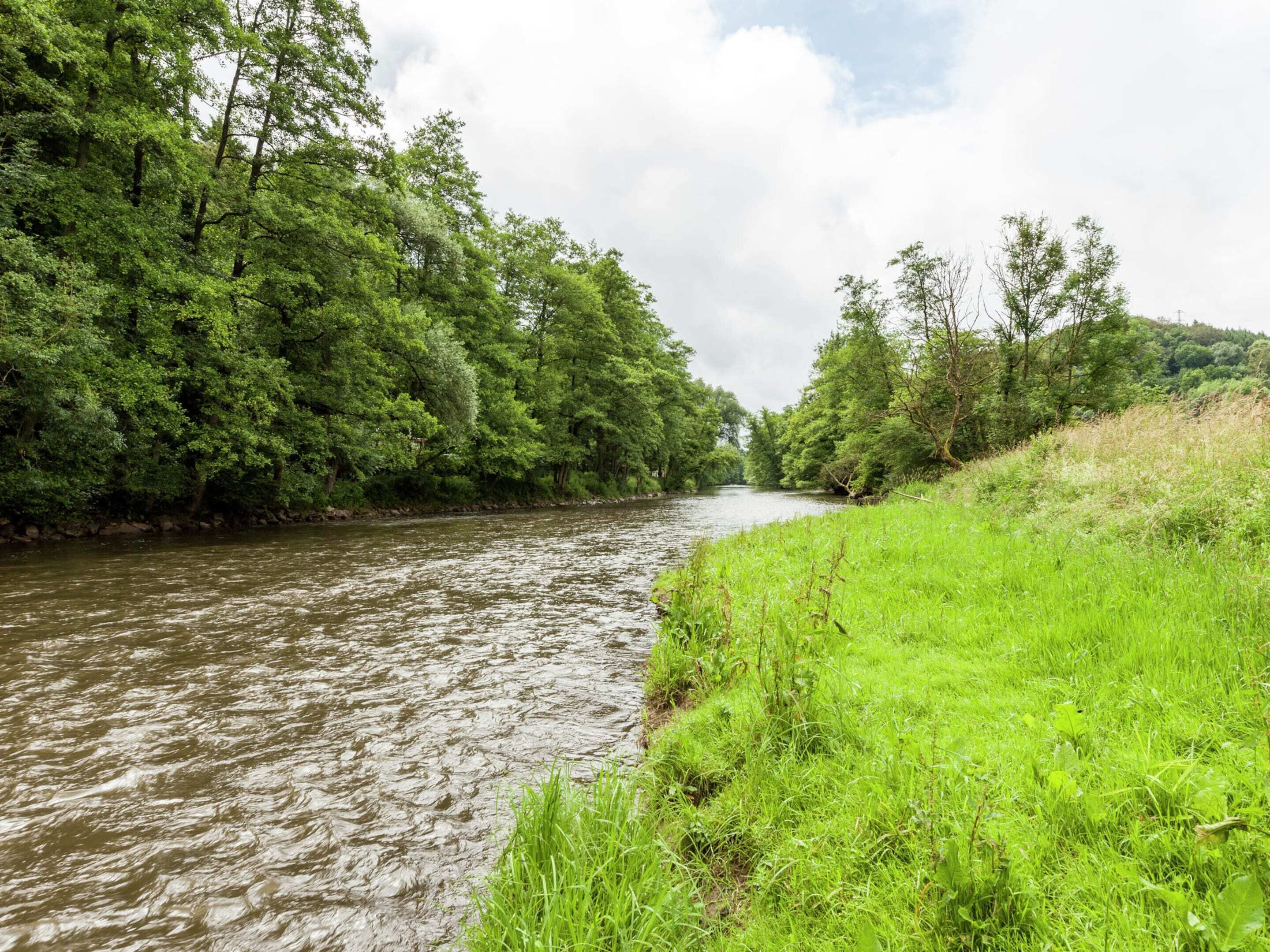 A river surrounded by lush greenery and trees.