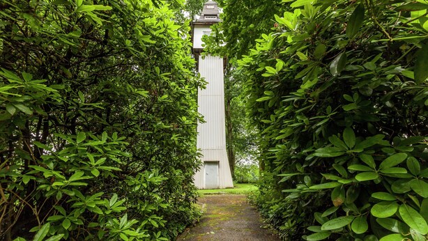 A pathway leading to a white building surrounded by dense green foliage. - Nature Escape in Bohon (Durbuy)