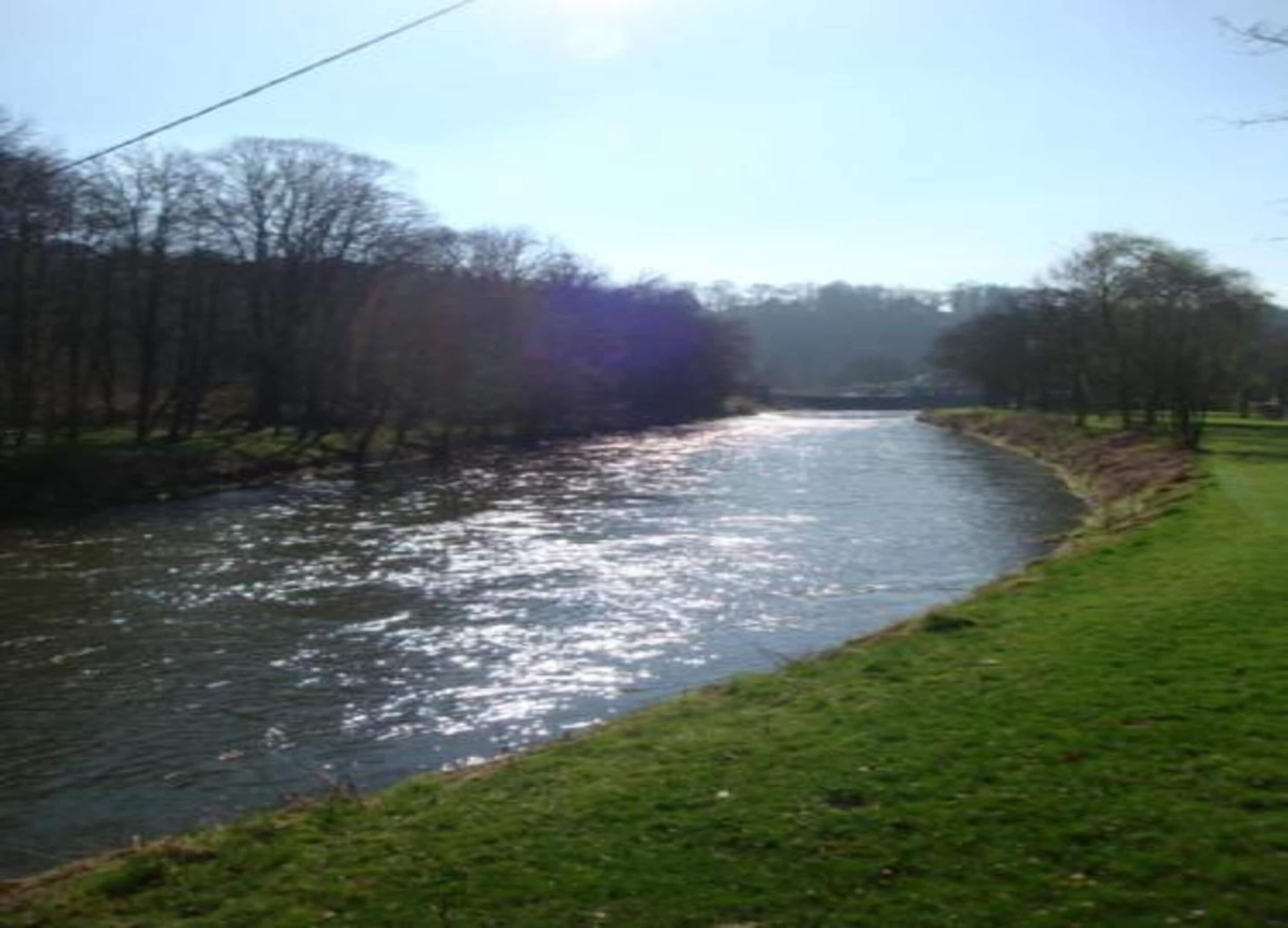 A river with a grassy bank and trees in the background.