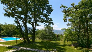 Un jardin avec une piscine, un chemin de pierres et des arbres.