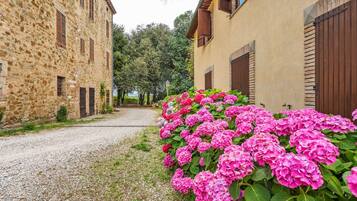 Apartment | Exterior