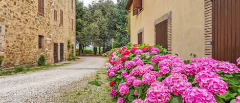 Apartment | Exterior