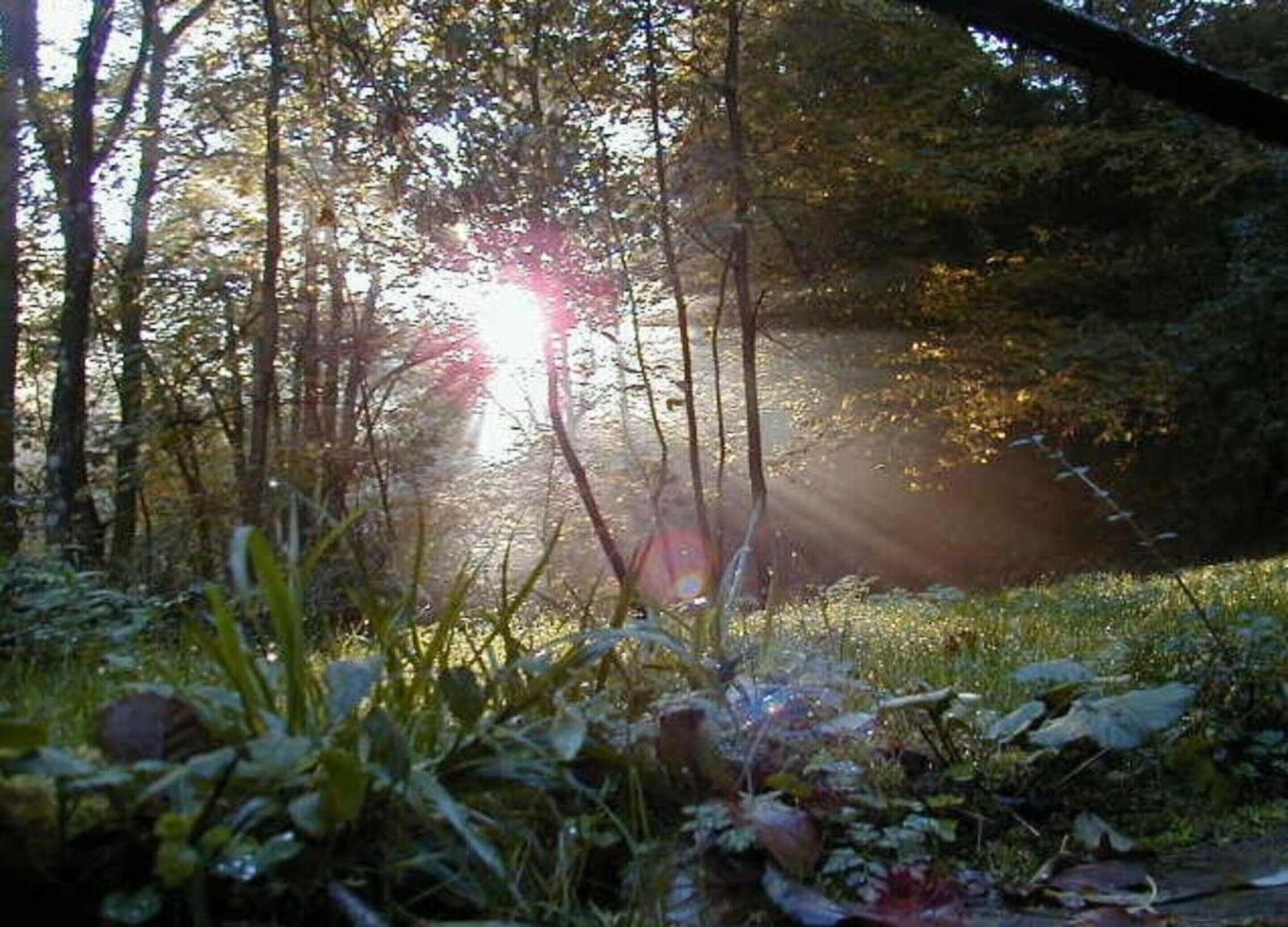 Rumah | Pemandangan dari properti