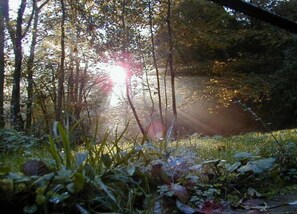 View from property - Holiday Home Moselle With Private Sauna (Kleinich)