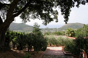 View from property - Holiday House with Pool near Sea, Beach, & Caves (Centola)