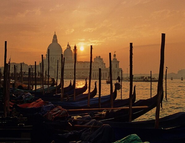 Apartment | View from property - Spacious Apartment in Rosolina Mare near Sea (Rosolina)