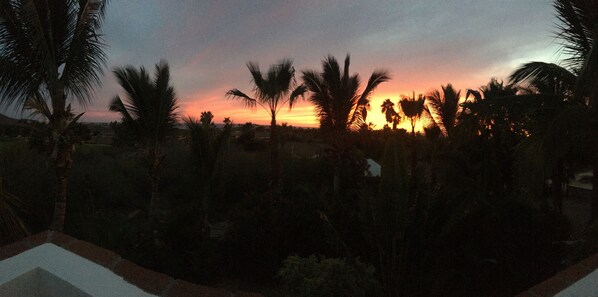 A sunset with silhouettes of palm trees and a distant building.