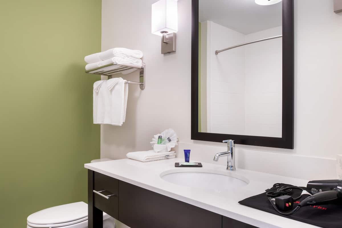 hair dryer, towels, soap, shampoo