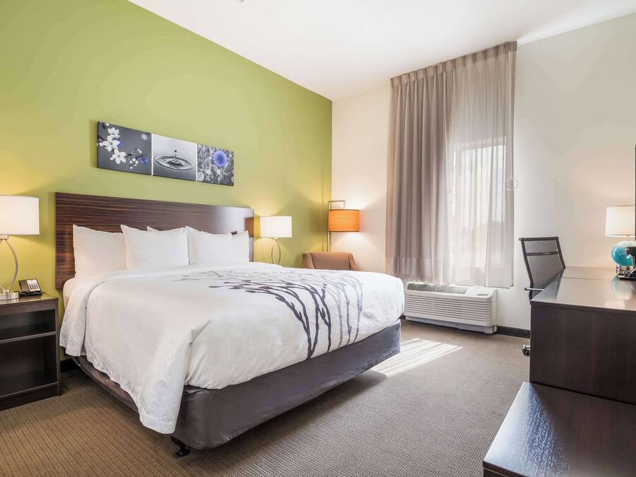 Habitación de hotel con una cama grande, dos mesitas de noche, un escritorio y una silla. Hay dos lámparas de pared, una ventana con cortinas y una obra de arte en la pared sobre la cama.