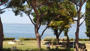 Un parque con árboles, césped y vista al mar.