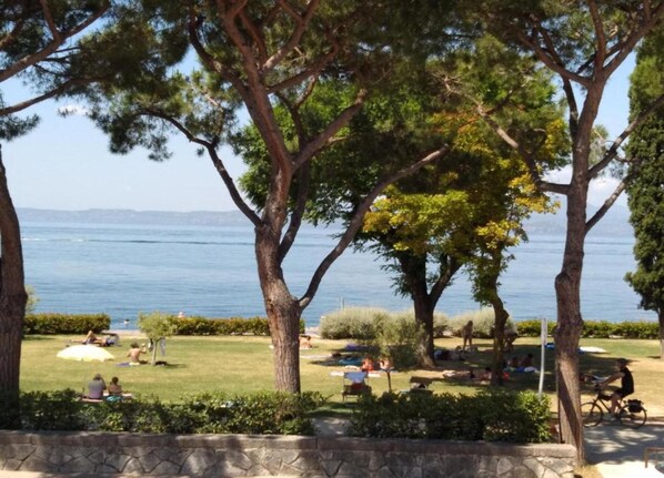 A park with trees, a grassy area, and a view of the water.