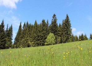 View from property