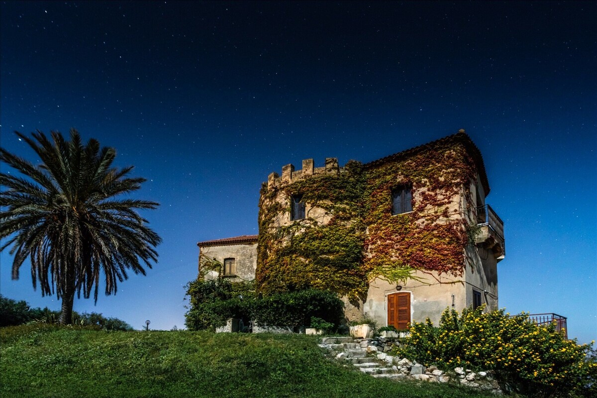 A historic building with ivy-covered walls, a stone staircase leading to the entrance, and a palm tree in the foreground.