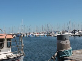 Marina com vários barcos atracados.