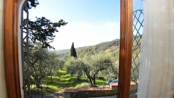 Casa de campo | Vista da propriedade