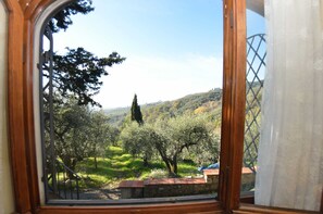 Cottage | View from property - Capannori Playful Cottage (Capannori)