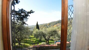 Cottage | View from property