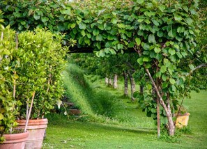 Cottage | Pemandangan dari hartanah