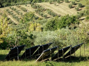 House | Garden - Holiday Home in Chianti With Pool & Sauna (Pelago)