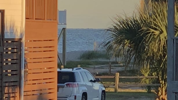 A white SUV parked in a driveway with a wooden fence and a palm tree in the background. - Our Little Piece of Heaven (Edisto Island)