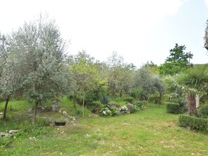 アパートメント | 外観