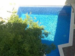 Pool - Modern Apartment in Okrug Gornji With Swimming Pool (Okrug)