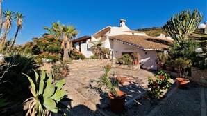 Une cour avec un bâtiment blanc, des plantes en pot et un cactus.