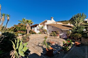 Un patio con un edificio blanco, plantas en macetas y un cactus.