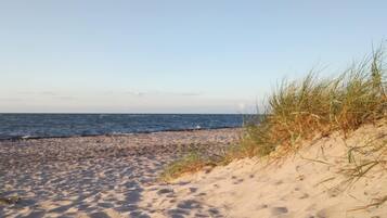 Ferienhaus | Blick von der Unterkunft