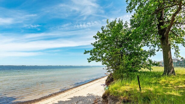 Une plage à l’eau claire, avec un rivage sablonneux et un arbre sur la droite.