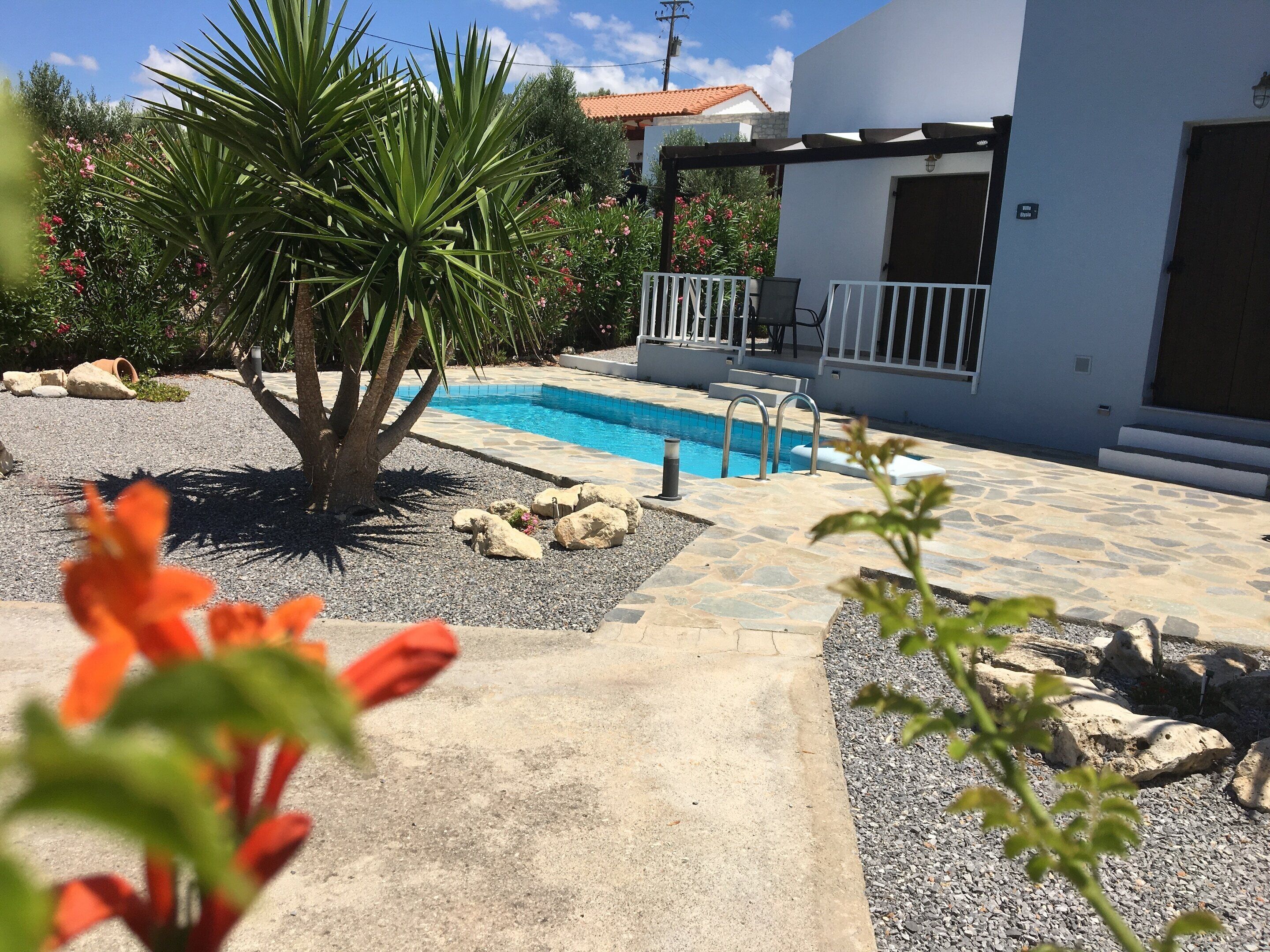 A swimming pool with a stone deck, surrounded by a garden with rocks and a palm tree.