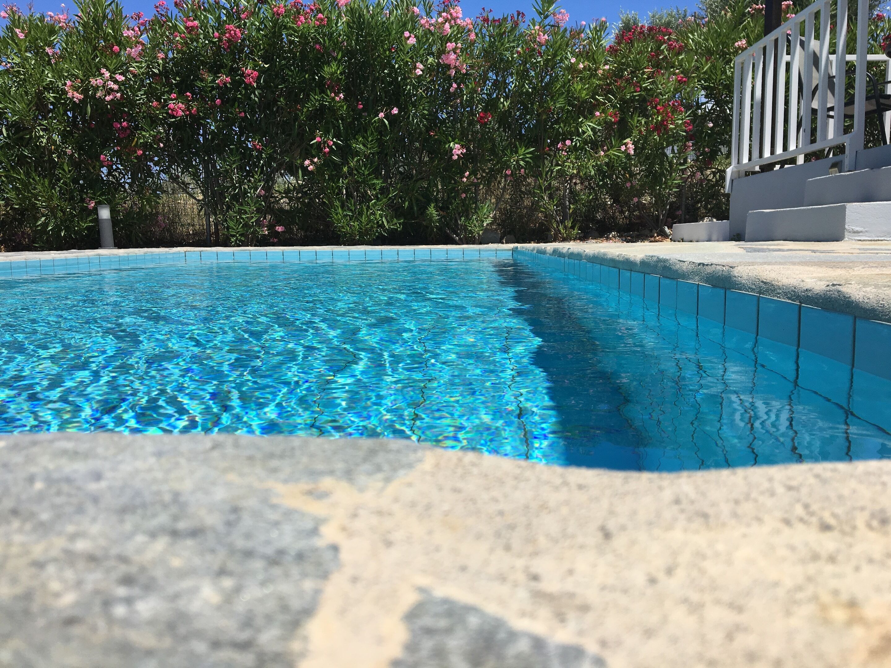 Piscina azul cristalina con borde de piedra, rodeada de vegetación exuberante y flores rosadas.