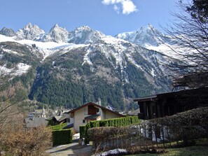 Exterior - Spacious Chalet in Chamonix With Mountain View (Chamonix-Mont-Blanc)